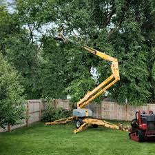 Best Lawn Seeding  in Blawnox, PA