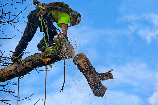 Soil Testing and Treatment in Blawnox, PA
